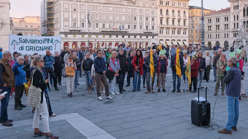 (foto Massimo Silvano)