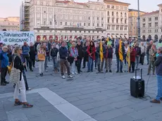 (foto Massimo Silvano)
