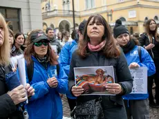 Una manifestazione per la cagnolina Nina