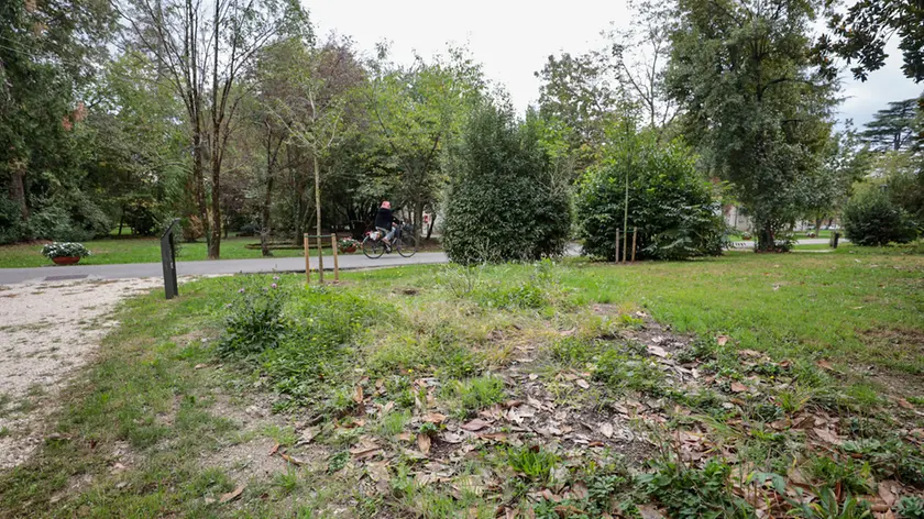 20/10/26 GORIZIA (Parco Basaglia) Situazione e degrado a sei mesi dall'inaugurazione. Foto Tibaldi