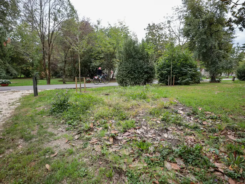 20/10/26 GORIZIA (Parco Basaglia) Situazione e degrado a sei mesi dall'inaugurazione. Foto Tibaldi