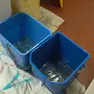 I secchi posizionati nei bagni