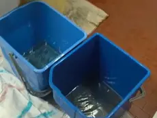 I secchi posizionati nei bagni