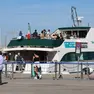 Il Delfino Verde in arrivo a Muggia