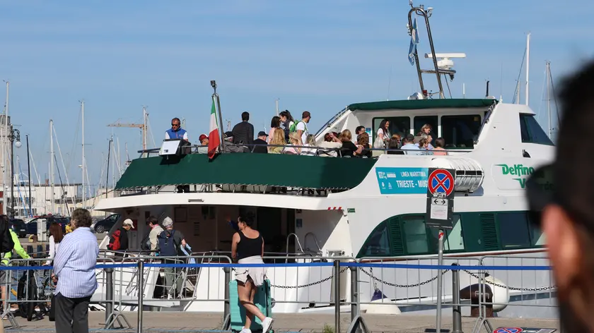 Il Delfino Verde in arrivo a Muggia