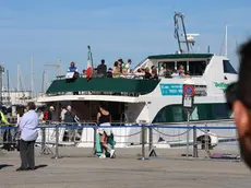 Il Delfino Verde in arrivo a Muggia