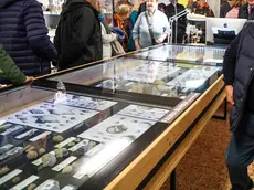 Il museo di scienze naturali "Alvise Comel" (foto Tibaldi)