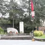 La base dell'albero Mlaj