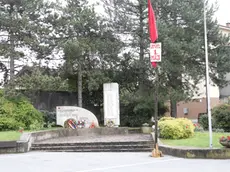 La base dell'albero Mlaj