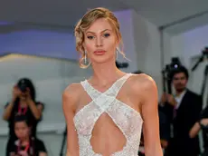 Taylor Mega