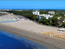L'Airone di Grado