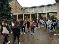 (foto Petrussi)