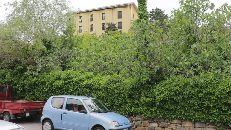 Lasorte Trieste 08/05/17 - Via del Pane Bianco, Terreno, Ordigni Bellici