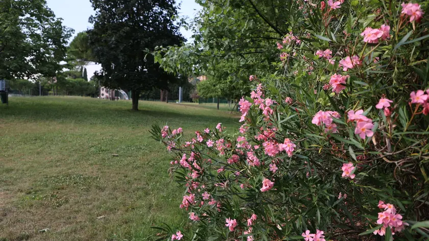 Il parco Baiamonti a Gorizia (Bumbaca)