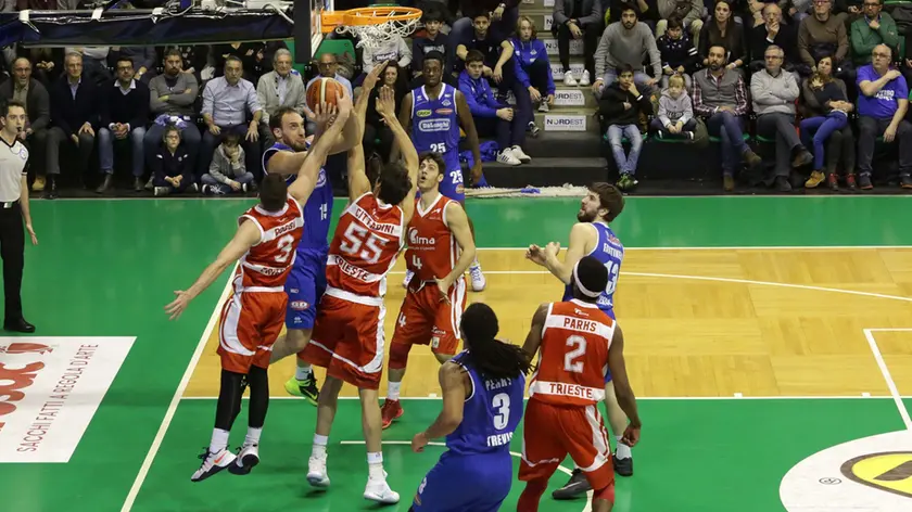 bolognini agenzia foto film Villorba Treviso basket-piacenza in foto ancellotti