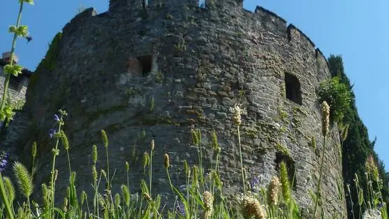 Bumbaca Gorizia 18-07-2018 GO turisti in castello © Fotografia di Pierluigi Bumbaca
