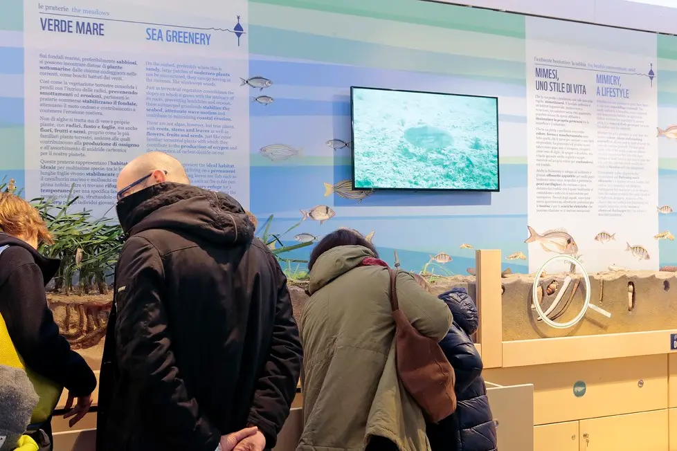 Silvano Trieste 2018-03-10 Apertura al pubblico BioMa