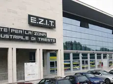 sterle trieste cda ezit