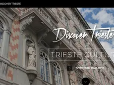 Il sito Discover Trieste