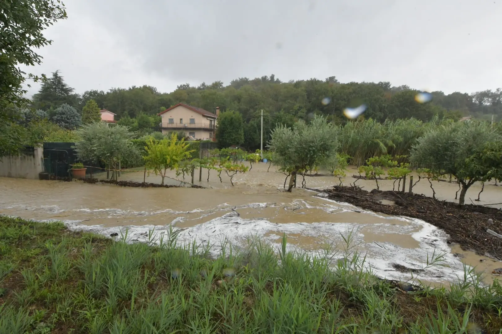 Il violento temporale che si è abbattuto giovedì mattina nel territorio di Muggia ha provocato l'esondazione di Rio Menariolo con gli allagamenti che vediamo fotografati qui da Francesco Bruni. Qui l'articolo con gli aggiornamenti: https://ilpiccolo.gelocal.it/trieste/cronaca/2024/09/12/news/esonda_rio_menariolo_muggia_case_allagate-14625963/