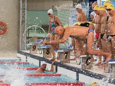 La staffetta di nuoto per anziani durante “H2Openday 60&dintorni” alla piscina "Bruno Bianchi" di Trieste nel 2019 (foto Lasorte)