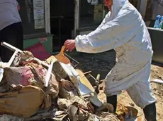 epa04224988 People clean the city destroyed by floods in Obrenovac, Serbia, 25 May 2014. As the waters from the worst flooding the Balkans has seen in more than a century subside and the destruction is assessed, the threat of disease is now one of the biggest concerns for authorities. Left behind are cadavers and plumbing, along with stagnant puddles and lots of mud, all of which could be infested with dangerous parasites and bacteria. EPA/KOCA SULEJMANOVIC