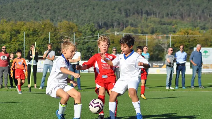 Un'azione dei Piccoli Amici di Kras e Vesna