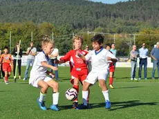 Un'azione dei Piccoli Amici di Kras e Vesna