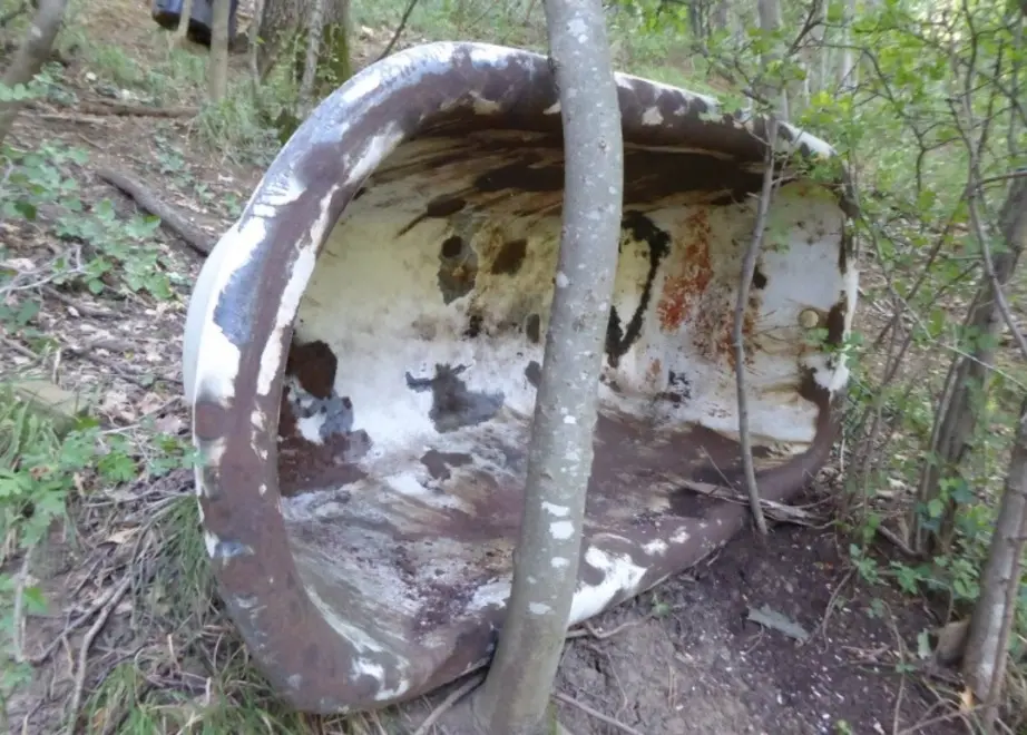 Tra gli alberi si trova di tutto, anche una vasca da bagno