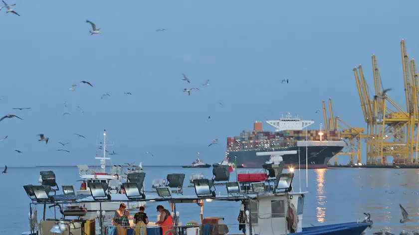 Una delle ultime lampadare dei pescatori del golfo Foto Massimo Silvano