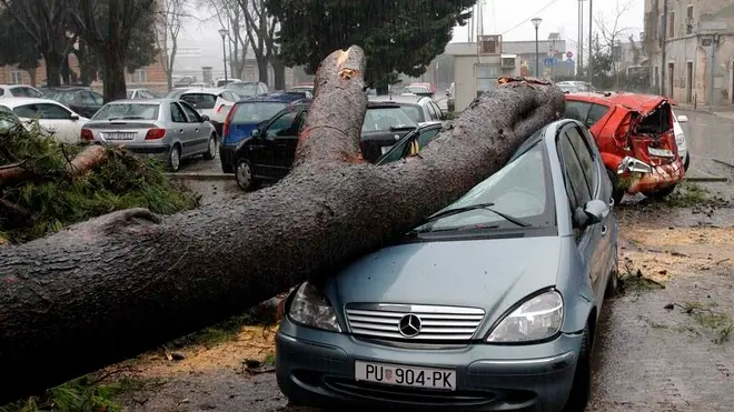 Pula, 020214. Veliki bor srusio se na dva automobila na gradskom parkiralistu Stara trznica pokraj Foruma. Potpuno unisten Mercedes i djelomicno unisten Suzuki nastradali su ispod bora koji se uslijed obilnih kisa koja je padala cijelu noc srusio na njih. Foto: Goran Sebelic / CROPIX