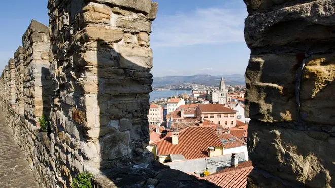 Una veduta di Muggia dal castello (Silvano)