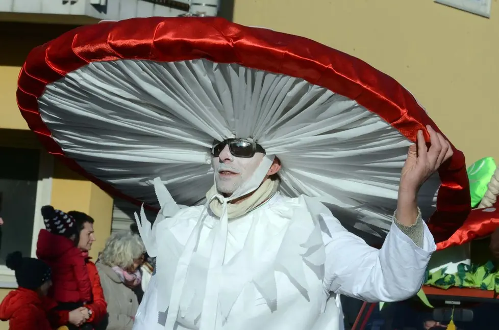 Foto BRUNI 10.02.2018 Carnevale di Opicina