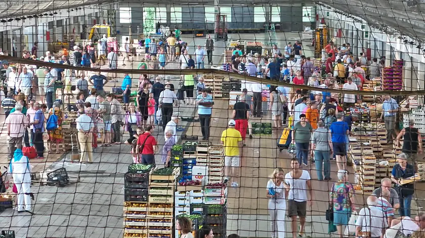 Lasorte Trieste 19/08/15 - Mercato Ortofrutticolo, Foto Giugno 2015