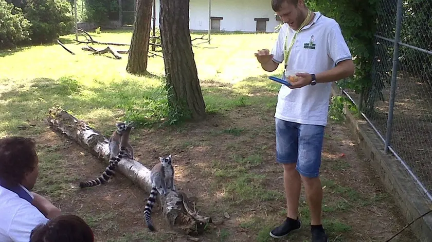 Colazione con i lemuri del Parco Zoo Punta Verde di Lignano