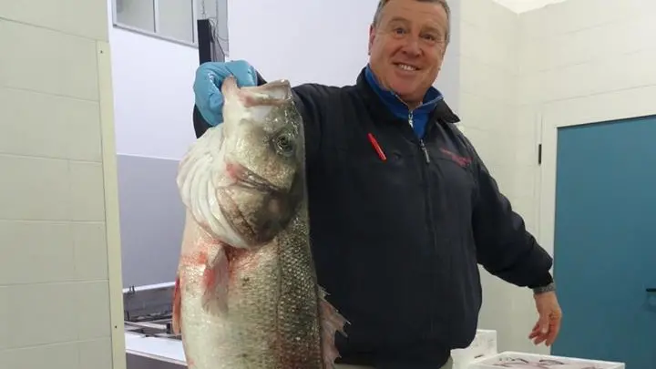 Il maxi-branzino
