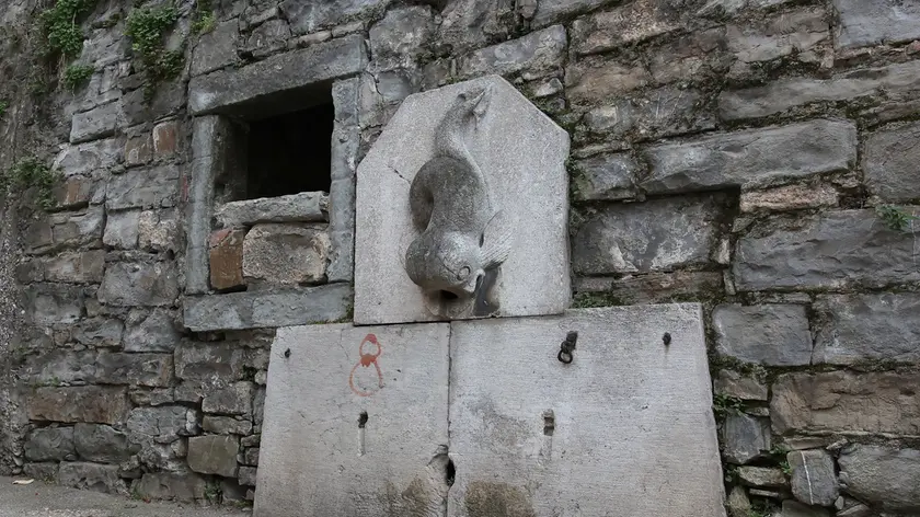 Un delfino che sgorga acqua in via Crispi (Lasorte)