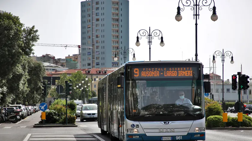 Lasorte Trieste 27/06/22 - Autobus, Bus