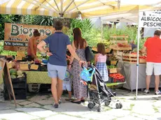 Il mercato in piazza Sant'Antonio (Bruni)