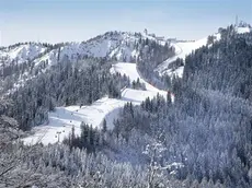 Una pista da sci a Tarvisio