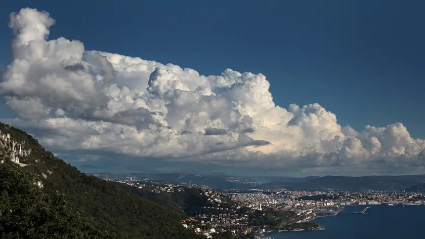 Una veduta di Trieste (Lasorte)