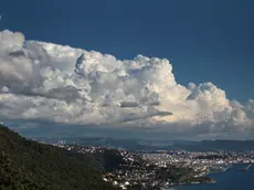 Una veduta di Trieste (Lasorte)