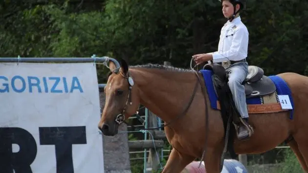 Bumbaca Gorizia 07/09/08 Remuda, gara equitaz monta americana - Foto di Valentina Balbi