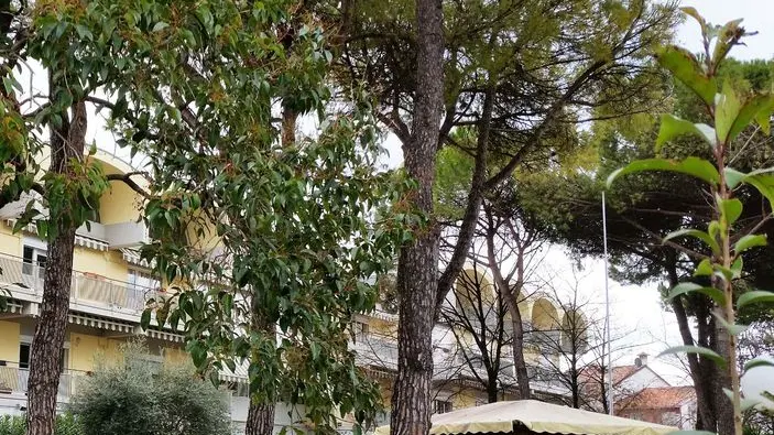 GRADO - casa di riposo "Casa Serena"