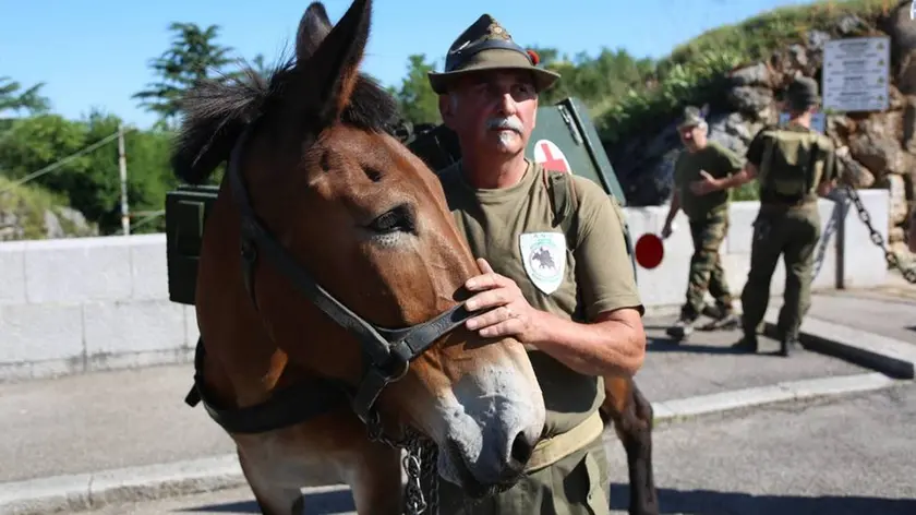 Bumbaca Gorizia 18-06-2016 Raduno Alpini, Redipuglia © Fotografia di Ilaria Tassini