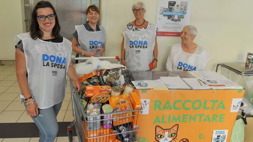 Foto BRUNI 06.07..2019 Raccolta alimentari per animali