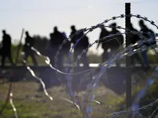 Un'immagine simbolo dei migranti che attraversano il confine tra Serbia e Ungheria