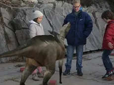 Antonio “virtuale” al Villaggio del pescatore