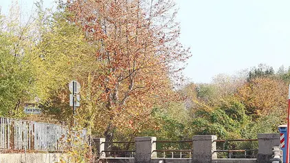 Paolo Giovannini, Trieste 19/11/2011, Fiume della Val Rosandra.