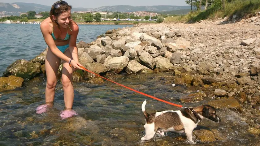 L’ex area Fido Lido ha visto la partenza dei lavori di riqualificazione